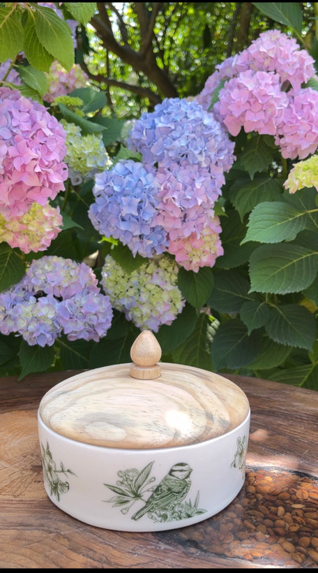 جاشکلاتی درب چوبی سرامیکی